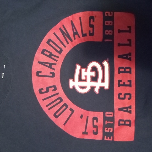 Cardinal - Picture 2 of 4